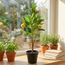 Artikel Kunstigt citrontræ i potte, middelhavsdekoration, kunstig citronplante, H58cm