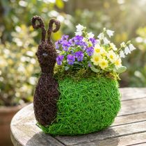 Artikel Plantekasse Snegl Vine Naturlig, Grøn 21x14cm H26cm