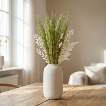 Artikel Bøjet græs Agrostis Capillaris Tørgræs Grøn 65cm 80g