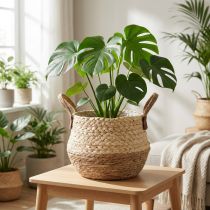 Artikel Kurv med hanke, plantekasse, søgræs, jute, Ø23 cm H20 cm, boho chic, urban jungle indretning
