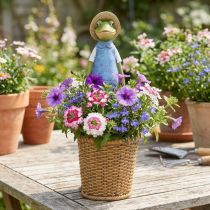 Artikel Frog deco planter polyresin borddekoration sommer H31,5cm