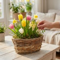 Artikel Elegant oval kurv, 27 cm, lysebrun, til dekoration og kunstige planter