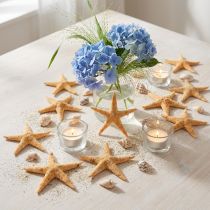 Artikel Søstjerner scatter dekoration hjem deco mini søstjerne natur 2-4cm 50p