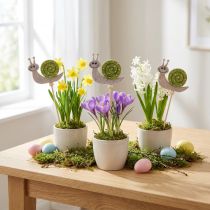 Artikel Blomsterpind Snegledekoration Træfilt Grøn 6,5cm 12 Stk