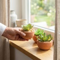 Artikel Kunstige planter i potter kunstige sukkulenter H9cm 3stk