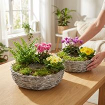 Artikel Hvid pilepotte, sæt med 2, Ø25/30 cm, dekorativ til stueplanter