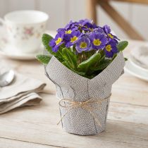 Artikel Plantekasse Papir Prikket Gaveemballage Blomster Ø7cm H14cm 12 stk