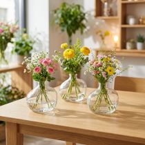 Artikel Lille glasvase moderne minivase glasklar 11×6×10 cm 3 stk.