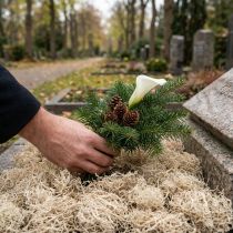 Artikel Dekorativ mostørret skovmos bleget naturdekoration 300g