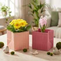 Artikel Blomsterpotte blomsterpose pink laks 12cmx12cm 6 stk