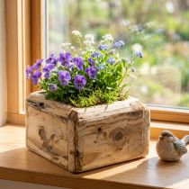 Artikel Plantepotte plantekasse træurtepotte natur 12×12×8,5cm