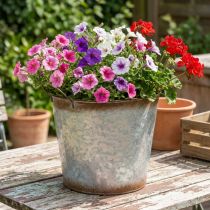 Artikel Plantepotte med håndtag, dekorativ skål med rustfinish, sølvmetalbeholder Ø26cm H25,5cm