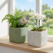 Artikel Plantekasse keramik hvidgrøn reliefnet 17x17cm H15cm 2stk