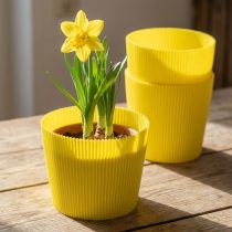 Artikel Plisserede manchetter gule 14,5cm 100 stk