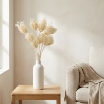 Artikel Tørrede blomster creme fennikel bleget 45 cm bundt 10 stk