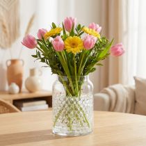 Artikel Aqualinos Aqua Pearls Dekorative vandperler til planter Transparent 8-12mm 500ml