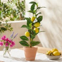 Artikel Citrontræ i potte, kunstig plante 42 cm - Middelhavsdekoration kunstigt træ