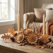 Artikel Susannae Rosette Light 50 stk