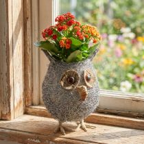 Artikel Plantekurv ugle vinstok hvidvasket Ø14cm