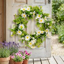 Artikel Daisy Krans Hvid Grøn Kunstig Ø28cm H9cm