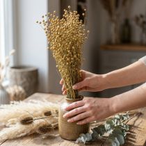 Artikel Tørret hør, tørret blomster, naturlig hør naturlig farve L40–55cm 85g