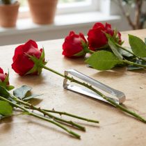 Artikel Rose dethorner klassisk sølv dethorner til roser 13cm