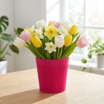 Artikel Plisserede manchetter Cerise 12,5cm 100 stk