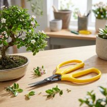 Artikel Oasis bonsai & tangsaks 15,5 cm