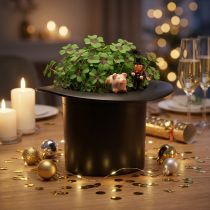 Artikel Sort cylinder, plantekasse, nytårsdekoration, plantekasse, troldmandshat H16cm