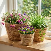 Artikel Rattan plantekurvesæt, natur/brun, 3 dele, Ø26/22/16 cm – Dekorativt og alsidigt