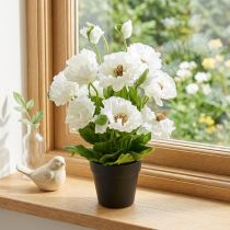 Artikel Valmue i en gryde hvid silke blomster blomsterdekoration