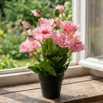 Artikel Orientalsk valmue, kunstig blomst, valmue i lyserød gryde