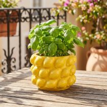 Artikel Urtepotte keramisk plantekasse citrongul Ø18cm H13cm
