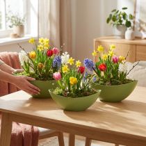 Artikel Plantebåd plast pynteskål grøn 28×9×9cm 3stk
