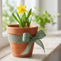 Artikel Jutebånd, netbånd, dekorativt bånd, jute, grøn salvie, 5 cm bredt, 40 m langt