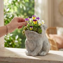 Artikel Frø dekorativ plantepotte urtepotte betongrå H18,5cm