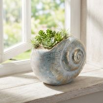 Artikel Dekorativ snegleformet beholder til maritimt og naturligt vægdesign, grå, 21 cm