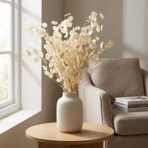 Artikel Lunaria Deco Moon Violet Sølvbladtørret 90cm 100g