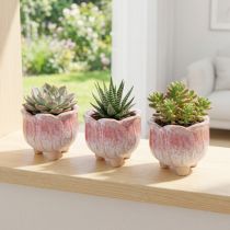 Artikel Mini plantekrukke keramisk potteblomst assorteret Ø8cm H7cm 3stk