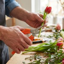 Artikel Blomstersaks til præcis blomsterklipning og blomsterdekoration