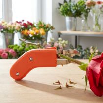 Artikel Rosentornfjerner i rustfrit stål, tornefri, 80ES, orange, til blomsterhandlere