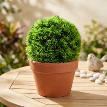 Artikel Græskugle dekorativ kugle grønne kunstplanter rund Ø18cm 1 stk