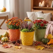 Artikel Dekorativ spand frugter vasket gul, orange, grøn Ø15cm H14cm sæt med 3 stk.