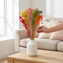 Artikel Hare's Tail Græs Lagurus Tørret Farvet 60cm 50g