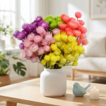 Artikel Tørrede Blomster Deco Kasket Blomster Halm Blomster Farvet H42cm