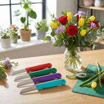 Artikel Blomsterhandlerkniv 15cm 10 stk - farve tilfældig