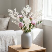 Artikel Ruscus grene dekorative grene tørrede blomster blegede 10 stk
