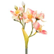 Artikel Dekorativ blomstrende gren af peruviansk lilje til tidløse arrangementer, 33 cm, 6 stk.