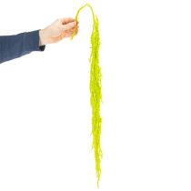 Artikel Tørrede rævehaleblomster, farvede, til speciel boligindretning og unikke detaljer, 100 cm, 5 stk.