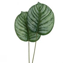 Artikel Calathea Kunstig Kurv Marante Kunstige Planter Grøn 51cm